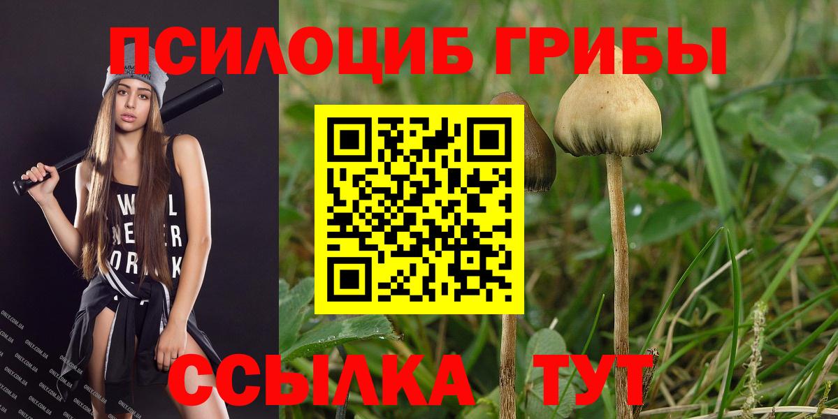 Псилоцибиновые грибы Cubensis  Псилоцибиновые грибы Psilocybe  Вязьма  Вход с VPN 